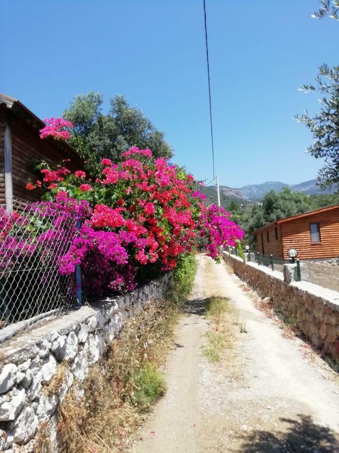 Bahar Bahce Datca Hotel Mesudiye  Exterior foto