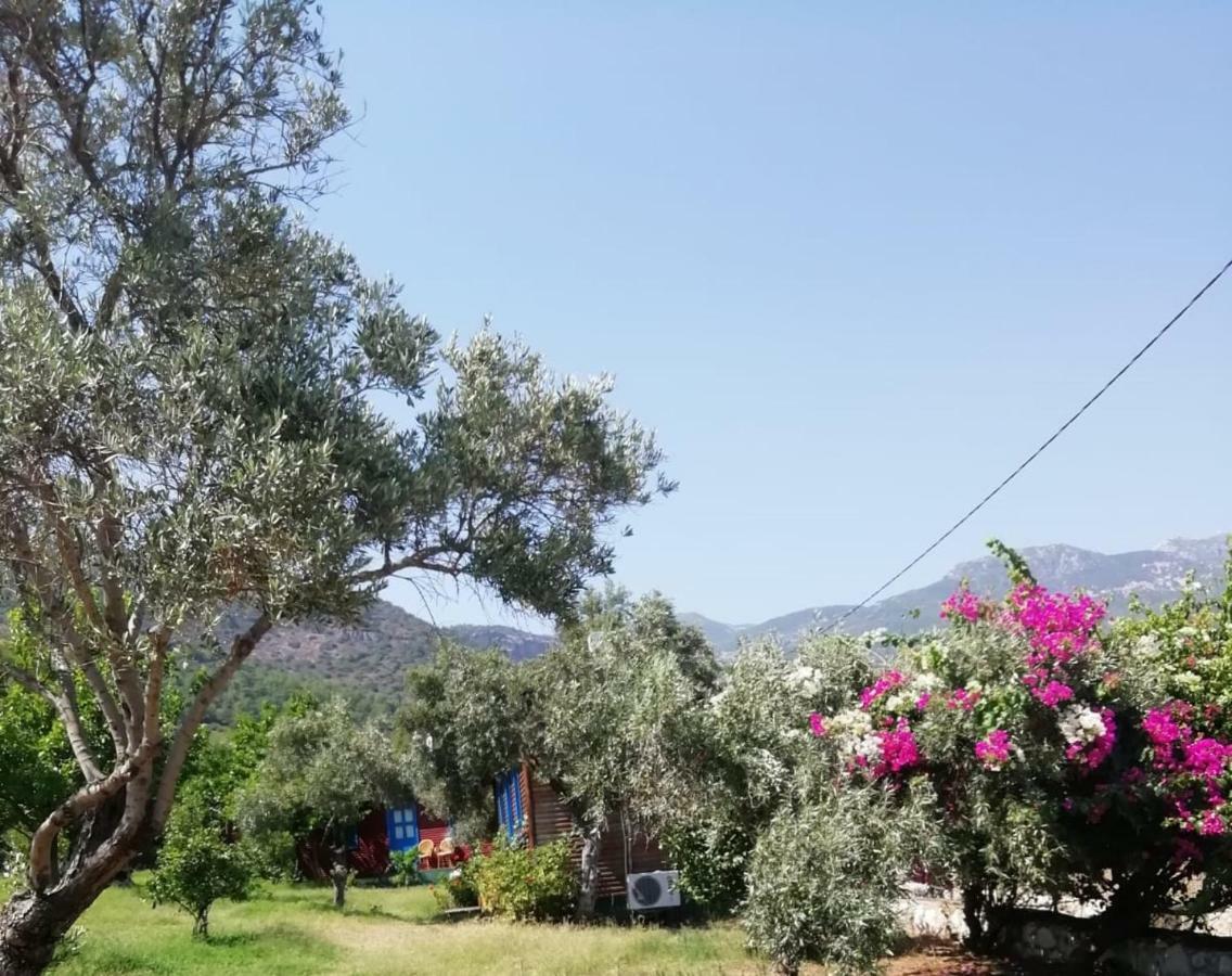 Bahar Bahce Datca Hotel Mesudiye  Exterior foto